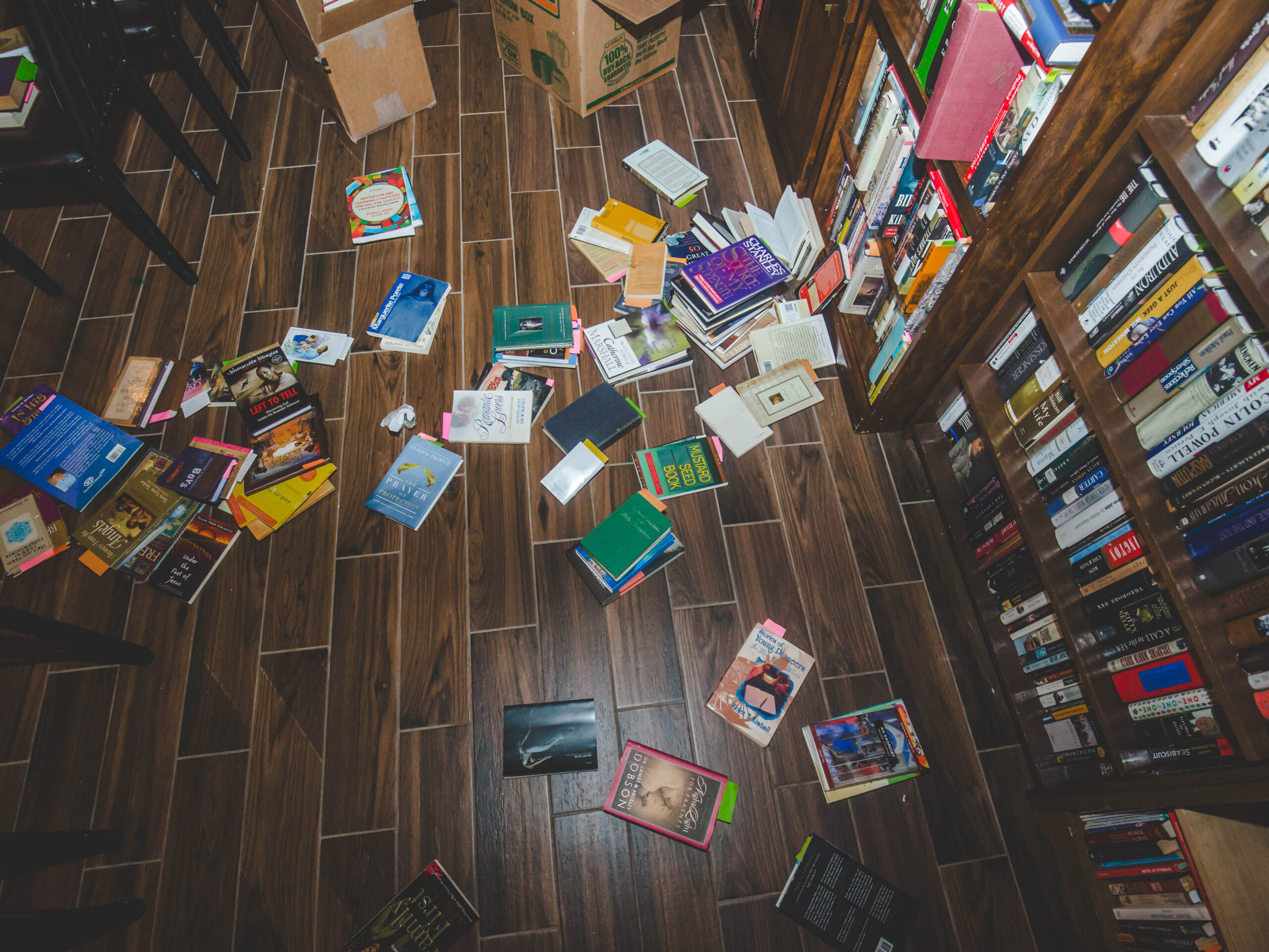 Búho Bookstore at the Historic Calderoni Building – BIG Success Story
